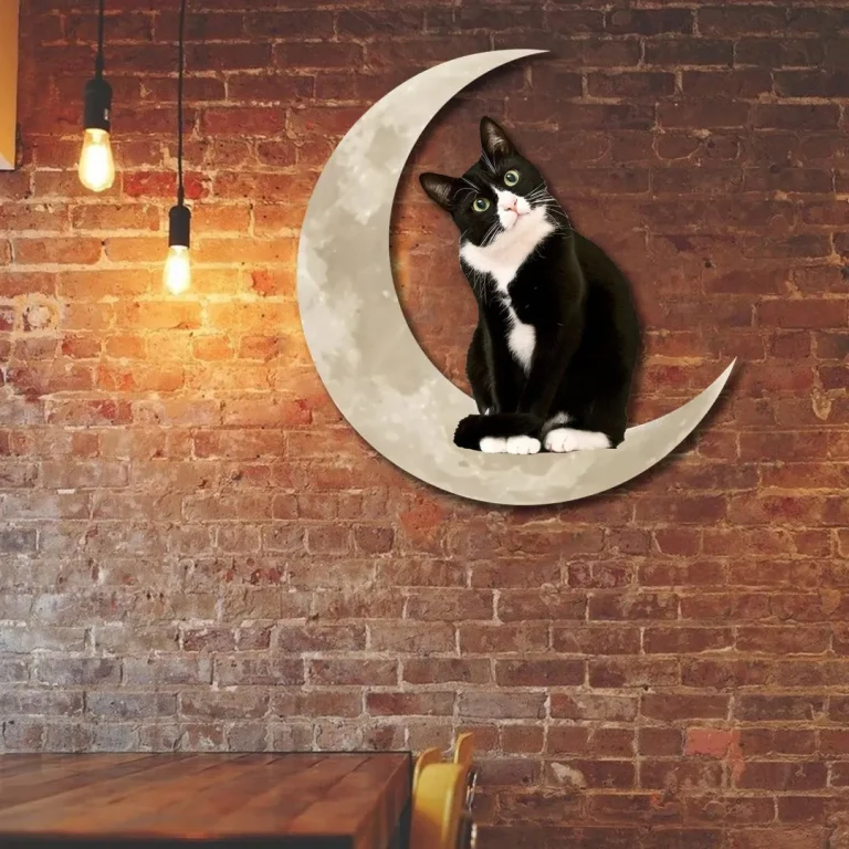 Tuxedo Kitten And Moon Metal Sign, Cat Wall Hanging, Evergreen Plaque