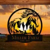 Personalized Metal Horse Sign Monogram, Custom Outdoor Farm