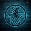 Personalized Family Name Pineapple Metal Sign With Led Lights, Metal Wall Decor, Monogram Name Sign, Home Decor, Personalized Pineapple Decor