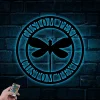 Personalized Dragonfly Door Hanger Metal Wall Art With Led Lights, Metal Home Decor, Door Hanger, Nature Decoration, Dragonfly Wall Art, Home Decor
