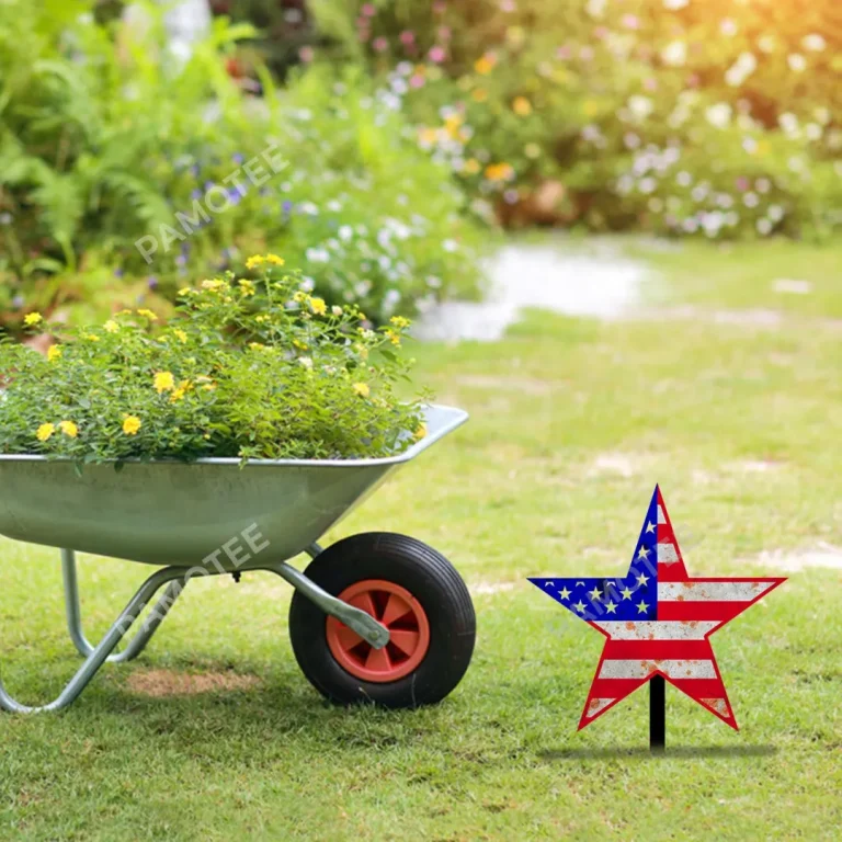 Rusty American Star Metal Garden Decoration, Star Laser Cut Artwork