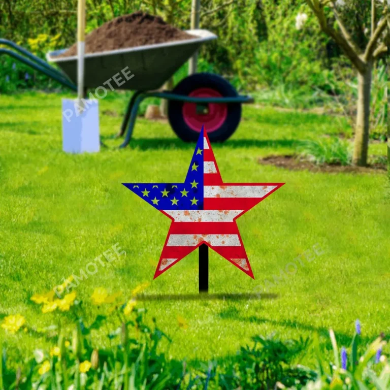 Rusty American Star Metal Garden Decoration, Star Laser Cut Artwork