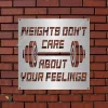 Weights Don't Care About Your Feelings Inspiration Funny Gym Metal Sign, Fitness Club Business Door Hanging Metal Sign