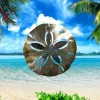 Sand Dollar Metal Art, Sand Dollar Steel Home Decoration