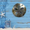 Sand Dollar Metal Art, Sand Dollar Steel Home Decoration