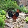 Rooster Colored Metal Garden Art, Rooster Stake For Farmhouse