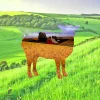 Sheep And Field Metal Sign, Sheep, Livestock Backyard Decoration