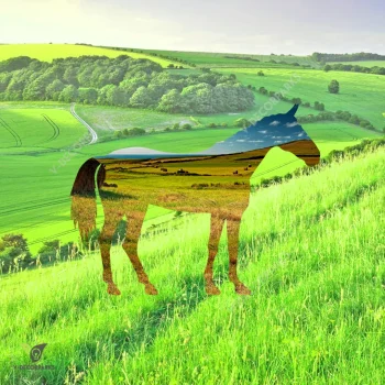 Horse On Farm Printed Metal Wall Decoration, Horse Rider Housewarming Accent