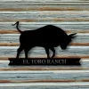 Custom Family Name Bull Sign, Metal Bull Sign, Farmhouse Decor, Outdoor Family Sign, Outdoor Decor, Wall Art, Metal Sign, Bull Ranch Sign