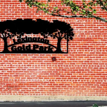 Tree Name Sign, Metal Tree, Christmas Gift, Name , Home Décor , Custom Tree, Est. Sign, Personalized, Front Home Décor