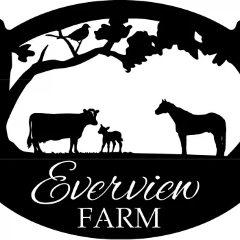 Metal Horse Sign With Horse , Cow, Calf With Your Name, 3ft, Metal Wall Art, Metal House Sign