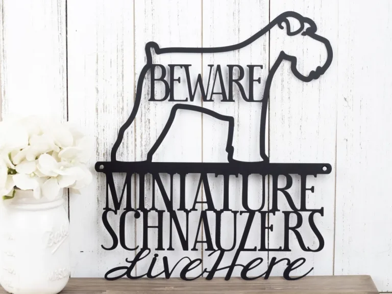 Miniature Schnauzers Live Here Metal Sign - Black, Schnauzer, Signs, Metal Wall Art, Outdoor Metal Sign, Beware Dog