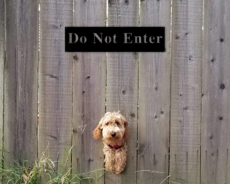 No Trespassing Sign, Beware Of Dog Sign For Home, Posted Sign, Custom Metal Sign, Do Not Enter Custom Metal Sign, Outdoors Do Not Enter Sign