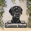 Personalized Short Haired Pudelpointer Dog Metal Sign Art, Custom Short Haired Pudelpointer Dog Metal Sign, Animal Funny, Pet Gift