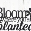 Bloom Where You Are Planted Metal Sign - Garden Sign, Garden Decor, Outdoor Garden Sign, Daisy, Flower