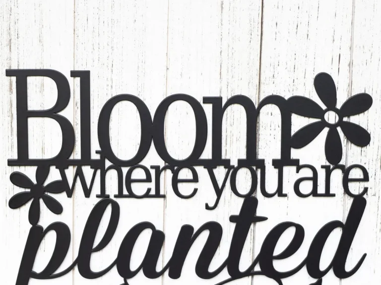 Bloom Where You Are Planted Metal Sign - Garden Sign, Garden Decor, Outdoor Garden Sign, Daisy, Flower