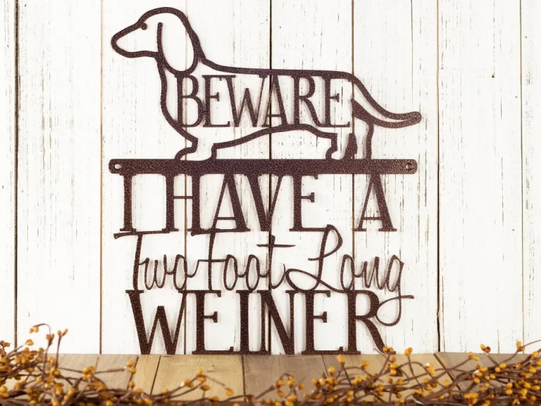 I Have A Two Foot Long Weiner Metal Sign - Weiner Dog, Dachshund, Door Sign, Metal Wall Art