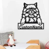 Custom British Longhair Cat Metal Wall Art, Personalized British Longhair Cat Name Sign Decoration For Room, British Longhair Cat Home Decor