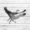 Sandhill Crane Vintage Metal Wall Art, Sandhill Crane Beach Artwork For Dad, Sandhill Crane Metal Sign, Home Decor