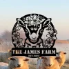 Custom Sheep Farm Metal Sign, Personalized Goat Sheep Metal Wall Art, Sheep Animal Sign, Metal Goat Sign, Farmhouse Decor, Goat Farm Sign