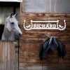 Personalized Horse Stall Name Plate, Custom Horse Farm Sign Outdoor Barn Decor, Custom Horse Name Plate, Horse Ranch Decor, Home Horse Lover