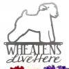 Wheatens Live Here Metal Sign - Silver, Wheaten Terrier, Wheaten, Metal Wall Art, Outdoor Sign