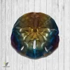Sand Dollar Heat Treated Color Metal Art, Sand Dollar Weatherproof Accent For Beach House