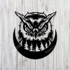 Owl Face And Moon Metal Sign, Owl Ranch Stainless Wall Hanging