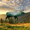 Elk Deer With Nothern Forest Metal Sign, Elk Hunting Man Cave Accent